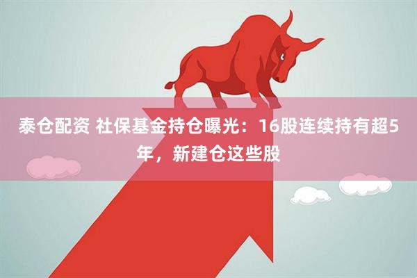 泰仓配资 社保基金持仓曝光：16股连续持有超5年，新建仓这些股