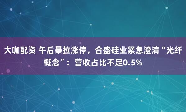 大咖配资 午后暴拉涨停，合盛硅业紧急澄清“光纤概念”：营收占比不足0.5%
