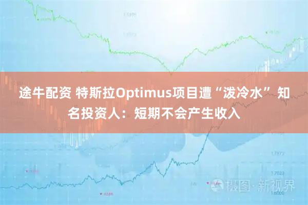 途牛配资 特斯拉Optimus项目遭“泼冷水” 知名投资人：短期不会产生收入