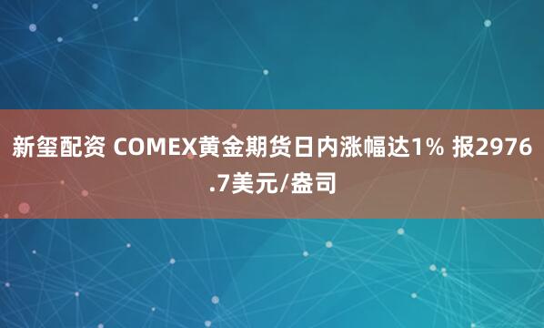 新玺配资 COMEX黄金期货日内涨幅达1% 报2976.7美元/盎司