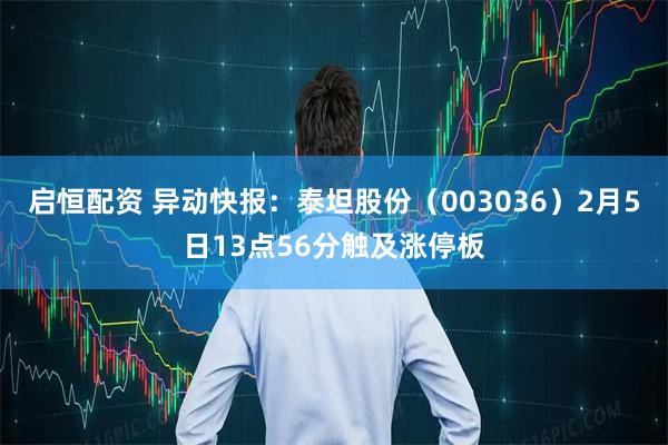 启恒配资 异动快报：泰坦股份（003036）2月5日13点56分触及涨停板