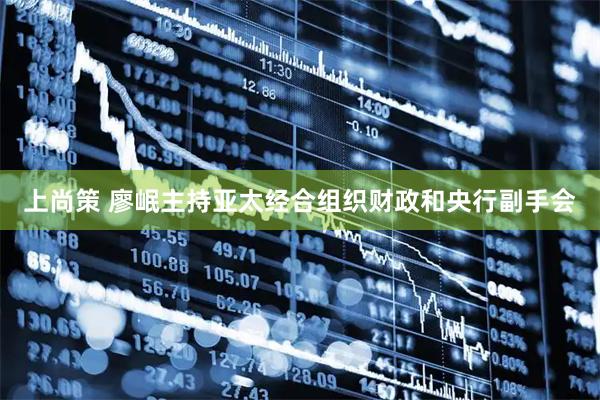 上尚策 廖岷主持亚太经合组织财政和央行副手会