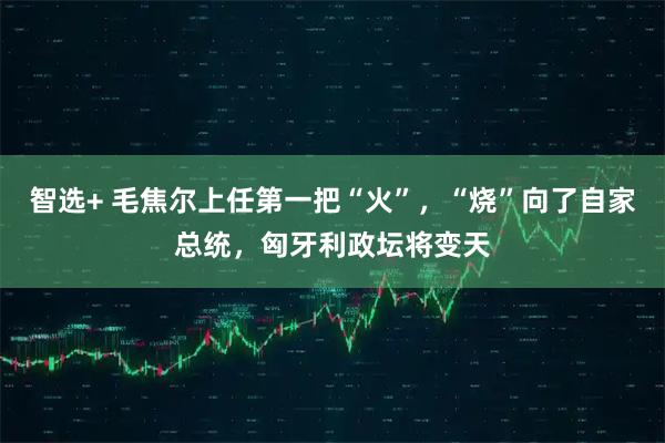 智选+ 毛焦尔上任第一把“火”，“烧”向了自家总统，匈牙利政坛将变天