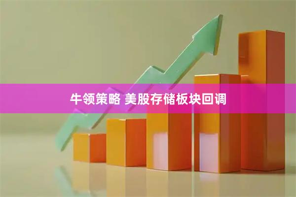 牛领策略 美股存储板块回调