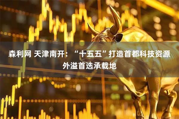 森利网 天津南开：“十五五”打造首都科技资源外溢首选承载地