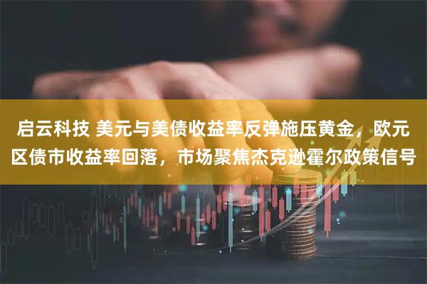 启云科技 美元与美债收益率反弹施压黄金，欧元区债市收益率回落，市场聚焦杰克逊霍尔政策信号